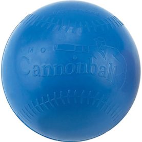 Cannonball Weighted Training Ball