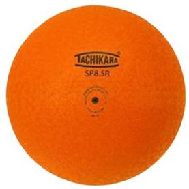 Tachikara Playground Ball 8.5
