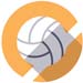 Wholesale Volleyball Products